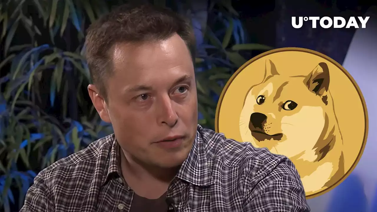 Elon Musk's DOGE Strategy Following EPA Action Against Tesla And SpaceX Elon Musk's DOGE Strategy Following EPA Action Against Tesla And SpaceX