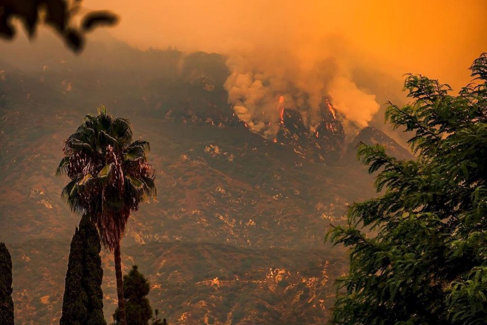 Is It Possible To Bet On The Los Angeles Wildfires? Exploring The Ethics And Legality Is It Possible To Bet On The Los Angeles Wildfires? Exploring The Ethics And Legality