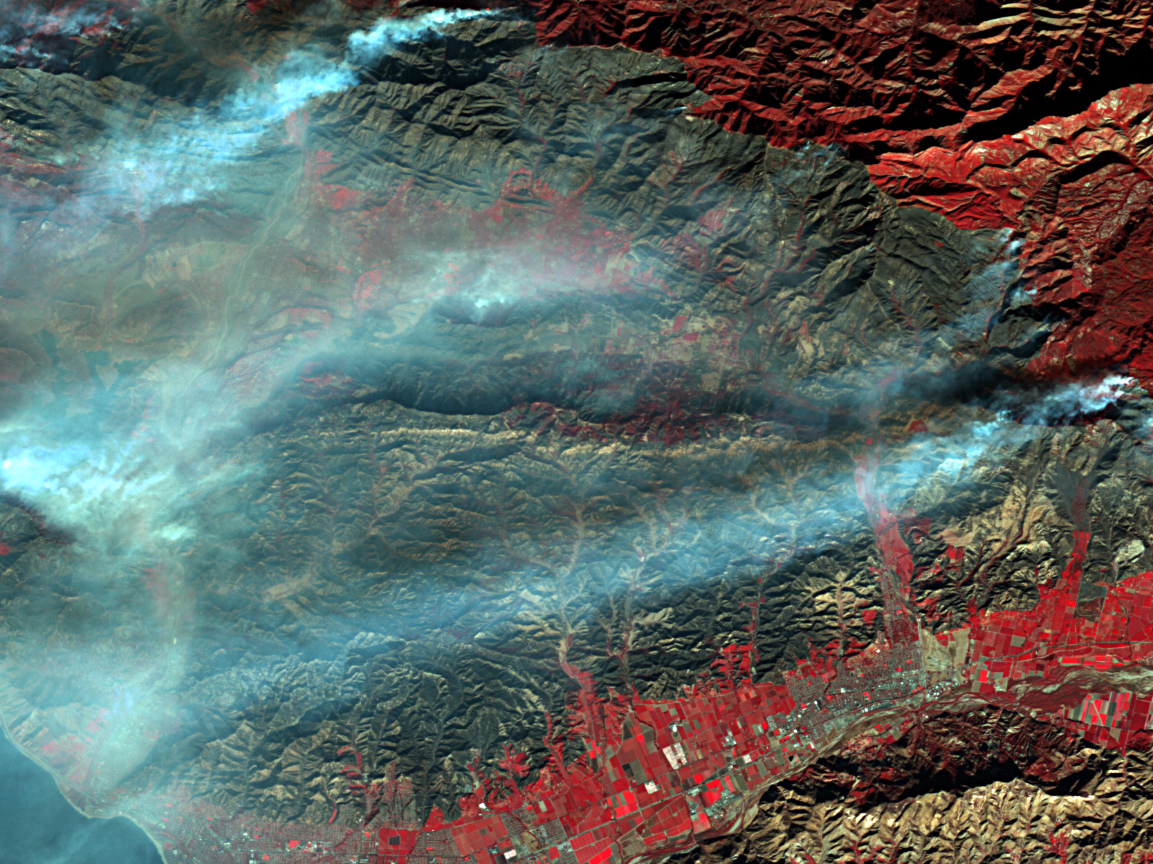 Los Angeles Wildfires: The Dark Side Of Disaster Speculation Los Angeles Wildfires: The Dark Side Of Disaster Speculation