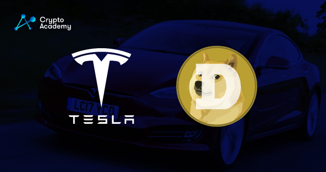 The EPA Vs. Tesla And SpaceX: How Elon Musk And DOGE Responded The EPA Vs. Tesla And SpaceX: How Elon Musk And DOGE Responded